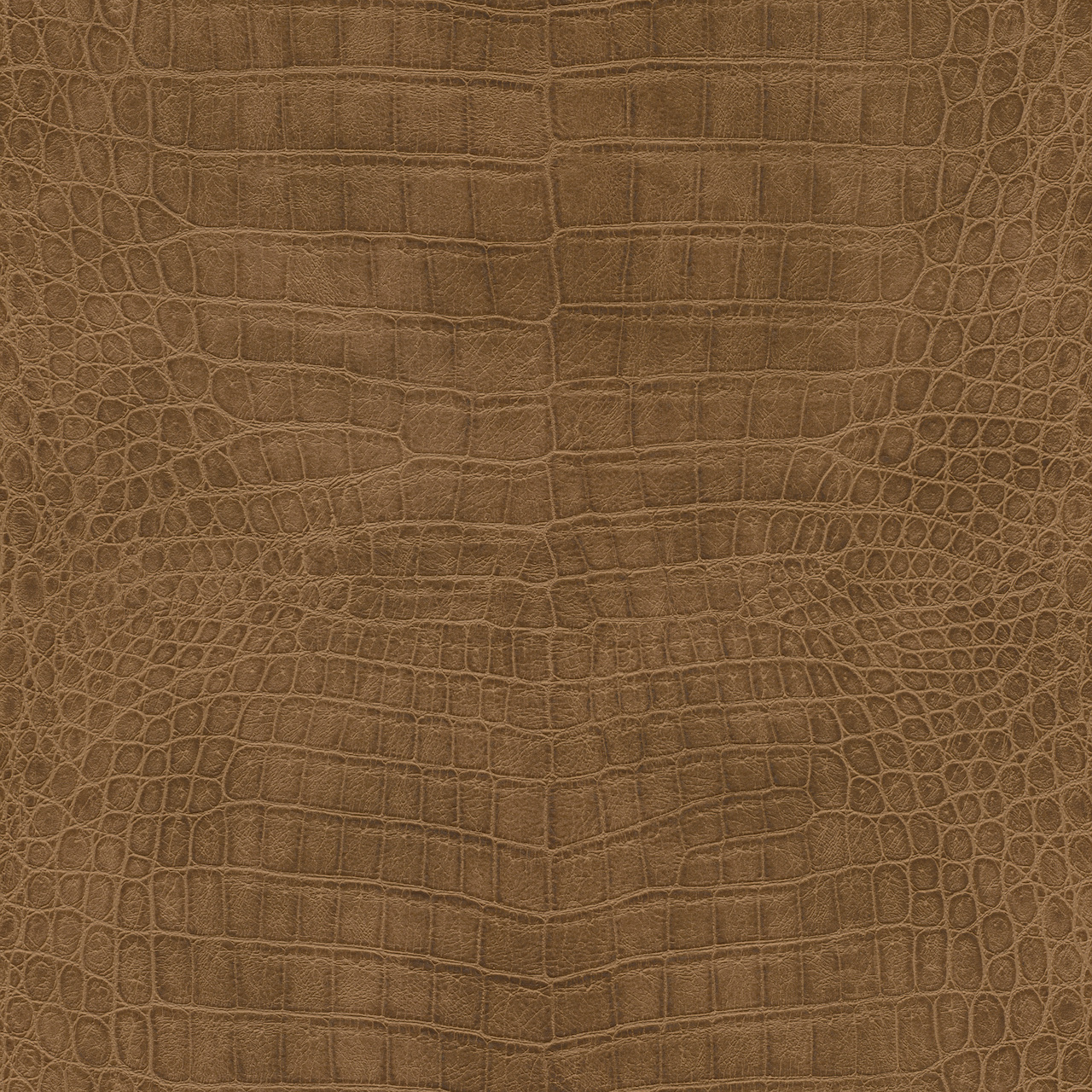 Vliesová tapeta na zeď Rasch 751314, African Queen III, 0,53 x 10,05 m