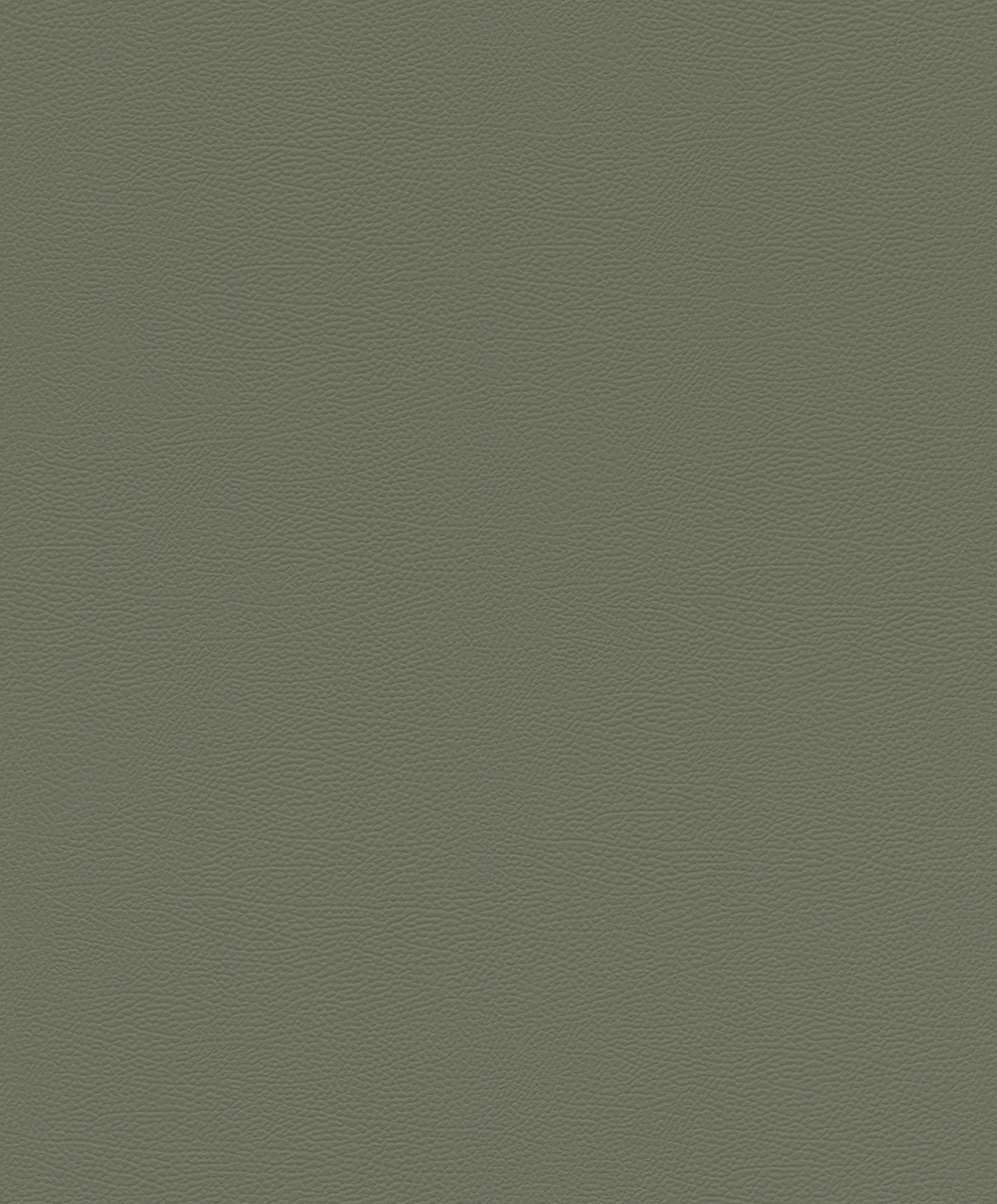 Vliesová tapeta na zeď Rasch 752687, African Queen III, 0,53 x 10,05 m