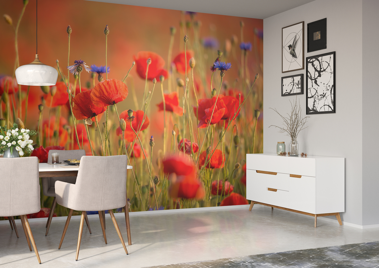 Vliesová fototapeta na zeď Rasch 363371, Magic Walls, 3,71 x 2,65 m