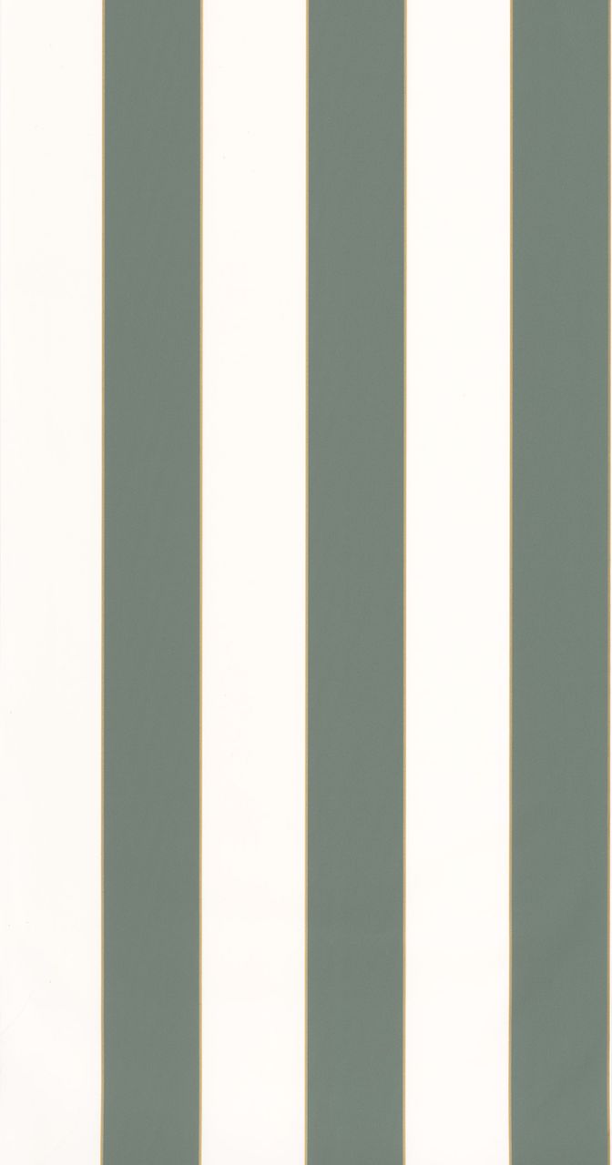 Vliesová tapeta na zeď Caselio 101077144 BASICS, 0,53 x 10,05 m