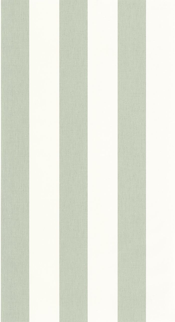 Vliesová tapeta na zeď Caselio 104047004 BASICS, 0,53 x 10,05 m