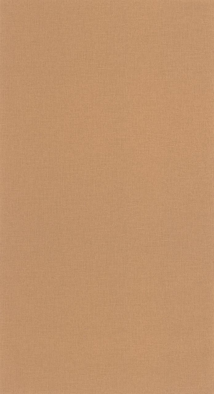 Vliesová tapeta na zeď Caselio 64522578 BASICS, 0,53 x 10,05 m