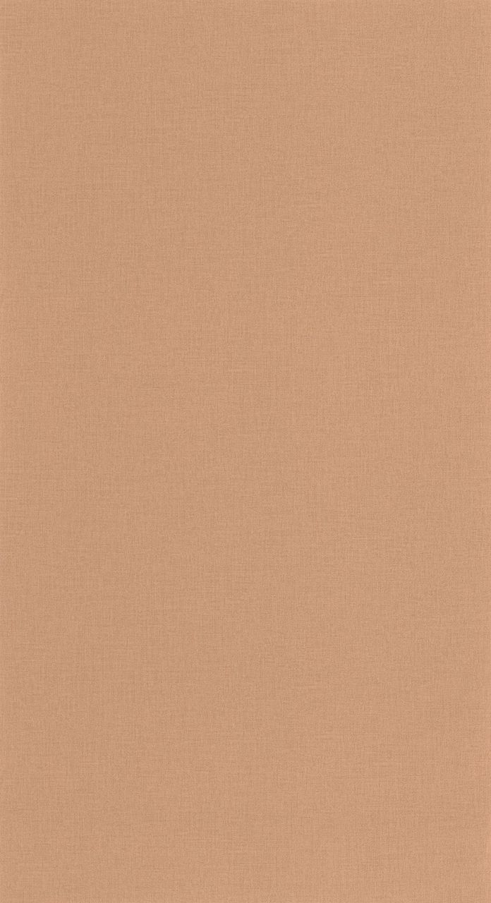 Vliesová tapeta na zeď Caselio 64524344 BASICS, 0,53 x 10,05 m