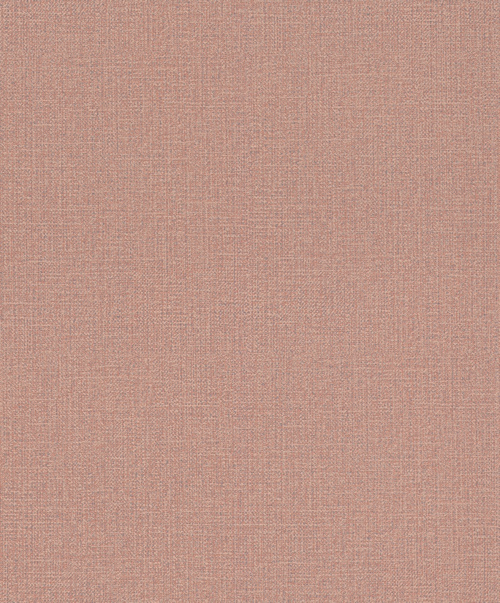 Vliesová tapeta na zeď Rasch 639650, kolekce Andy Wand, 0,53 x 10,05 m