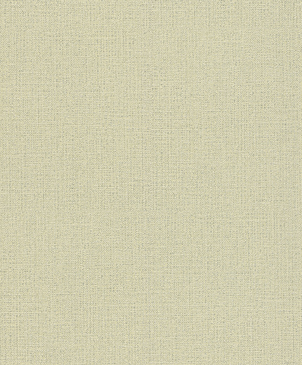 Vliesová tapeta na zeď Rasch 639667, kolekce Andy Wand, 0,53 x 10,05 m