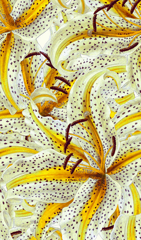 Vliesová fototapeta Art Aspiration 46815, 159 x 340 cm