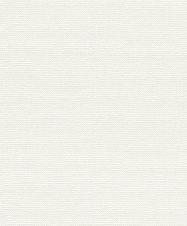 Vliesová tapeta na zeď Rasch 312102, Color Your Life, 0,53 x 10,05 m