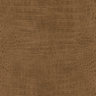 Vliesová tapeta na zeď Rasch 751314, African Queen III, 0,53 x 10,05 m