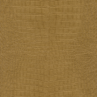 Vliesová tapeta na zeď Rasch 751369, African Queen III, 0,53 x 10,05 m