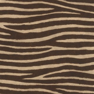 Vliesová tapeta na zeď Rasch 751741, African Queen III, 0,53 x 10,05 m