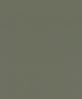 Vliesová tapeta na zeď Rasch 752687, African Queen III, 0,53 x 10,05 m