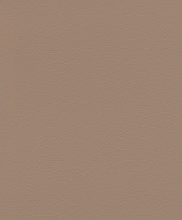 Vliesová tapeta na zeď Rasch 752724, African Queen III, 0,53 x 10,05 m