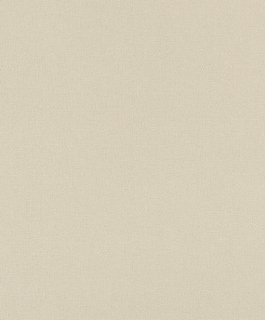 Vliesová tapeta na zeď Rasch 633344, Color Your Life, 0,53 x 10,05 m