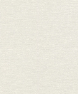804546 Vliesová tapeta na zeď Rasch, kolekce Tapetenwechsel 53 x 1005 cm