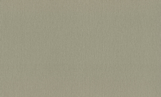 Vliesová tapeta na zeď Rasch 979398, Ascona, 1,06 x 10,05 m