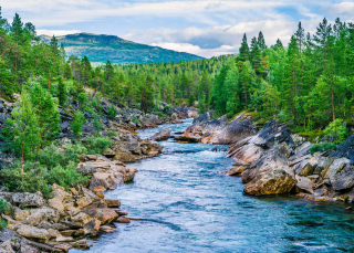 Vliesová fototapeta na zeď Rasch 363272, Magic Walls, 3,71 x 2,65 m