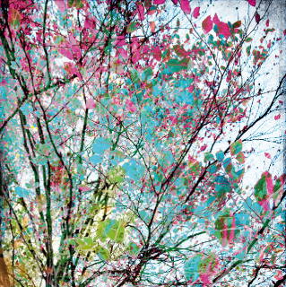 Vliesová fototapeta na zeď Rasch, 100983, Young Artists