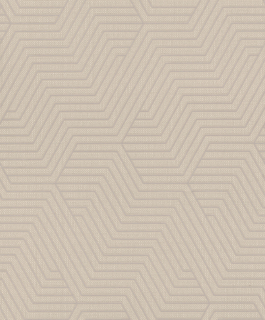 Vliesová tapeta na zeď Rasch 312522, Deco Style, 0,53 x 10,05 m