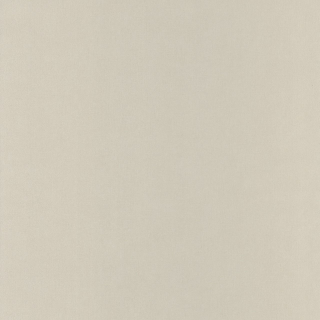 Vliesová tapeta na zeď Caselio 64521010 BASICS, 0,53 x 10,05 m