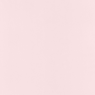 Vliesová tapeta na zeď Caselio 64524040 BASICS, 0,53 x 10,05 m