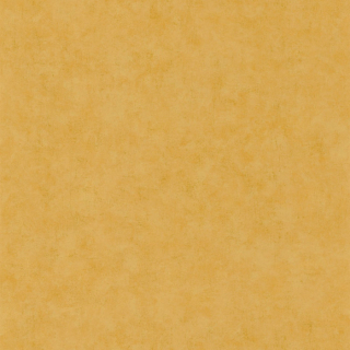 Vliesová tapeta na zeď Caselio 101482000 BETON, 0,53 x 10,05 m