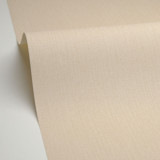 Vliesová tapeta na zeď Caselio 101571106 ESCAPADE , 0,53 x 10,05 m