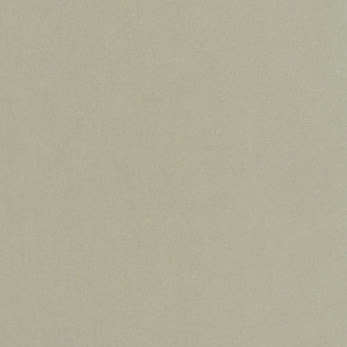 Vliesová tapeta na zeď Caselio 64527210 BASICS, 0,53 x 10,05 m