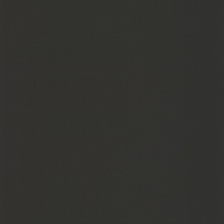Vliesová tapeta na zeď Caselio 64529800 BASICS, 0,53 x 10,05 m
