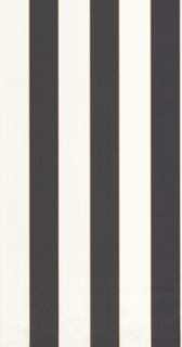 Vliesová tapeta na zeď Caselio 101072092 BASICS, 0,53 x 10,05 m