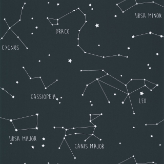 Vliesová tapeta na zeď Caselio 101916918 OUR PLANET, 0,53 x 10,05 m