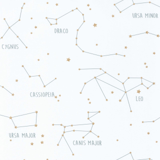 Vliesová tapeta na zeď Caselio 101917125 OUR PLANET, 0,53 x 10,05 m