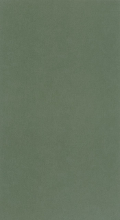 Vliesová tapeta na zeď Caselio 64524044 BASICS, 0,53 x 10,05 m