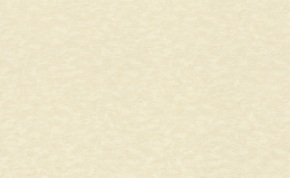 Vliesová tapeta na zeď Rasch 964813, kolekce Filigrano, 1,06 x 10,05 m