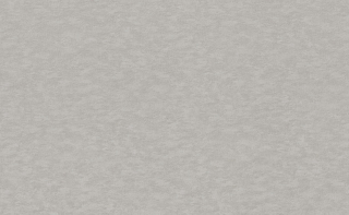Vliesová tapeta na zeď Rasch 964837, kolekce Filigrano, 1,06 x 10,05 m