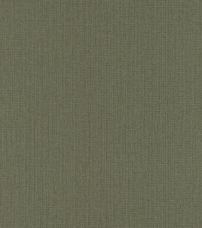 Vliesová tapeta na zeď Rasch 407945, kolekce Kimono, 0,53 x 10,05 m