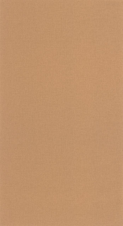 Vliesová tapeta na zeď Caselio 64522578 BASICS, 0,53 x 10,05 m