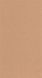 Vliesová tapeta na zeď Caselio 64524344 BASICS, 0,53 x 10,05 m