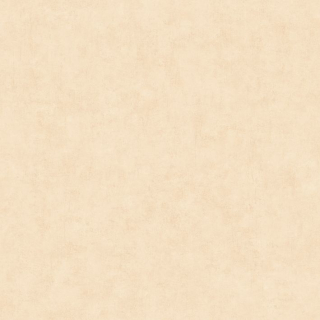 Vliesová tapeta na zeď Caselio 101481247 BETON 2, 0,53 x 10,05 m