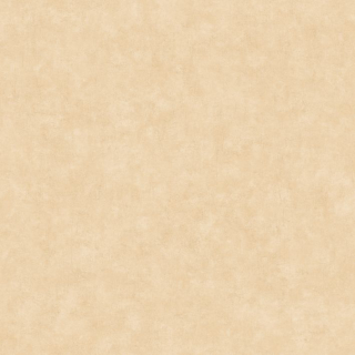 Vliesová tapeta na zeď Caselio 101481674 BETON 2, 0,53 x 10,05 m