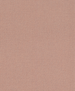 Vliesová tapeta na zeď Rasch 639650, kolekce Andy Wand, 0,53 x 10,05 m
