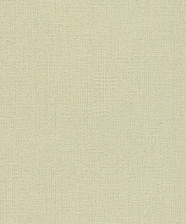 Vliesová tapeta na zeď Rasch 639667, kolekce Andy Wand, 0,53 x 10,05 m
