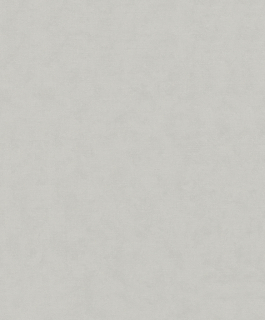 Vliesová tapeta na zeď MA932401, 0,53 x 10,05 m