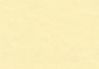 Luxusní vliesové tapety na zeď MA930128 kolekce BOMBAY, 0,92 x 10,05 m