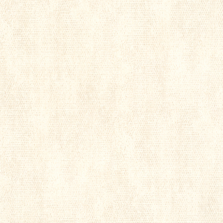 Vliesová tapeta na zeď MA959846, 0,70 x 10,05 m