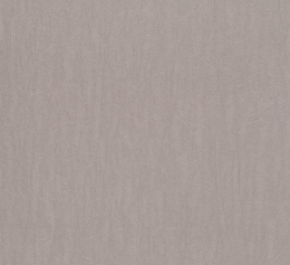 Vliesová tapeta na zeď MA963413, 0,70 x 10,05 m