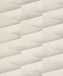 Vliesová tapeta na zeď Rasch 554618, Composition 0,53 x 10,05 m
