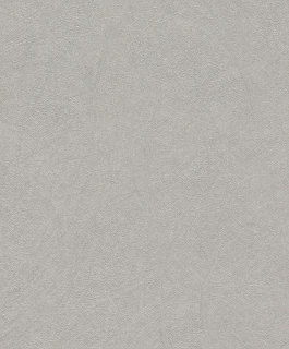 Vliesová tapeta na zeď Rasch 520255, kolekce Concrete, 0,53 x 10,05 m