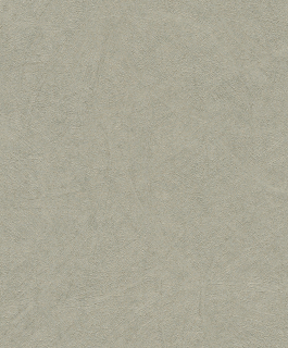 Vliesová tapeta na zeď Rasch 520279, kolekce Concrete, 0,53 x 10,05 m