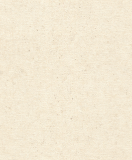 Vliesová tapeta na zeď Rasch 520835, Factory V, 0,53 x 10,05 m