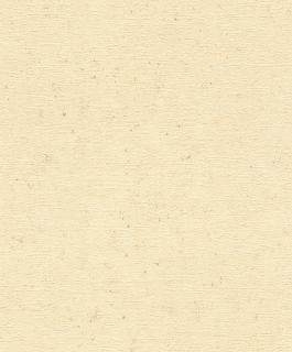 Vliesová tapeta na zeď Rasch 520842, Factory V, 0,53 x 10,05 m